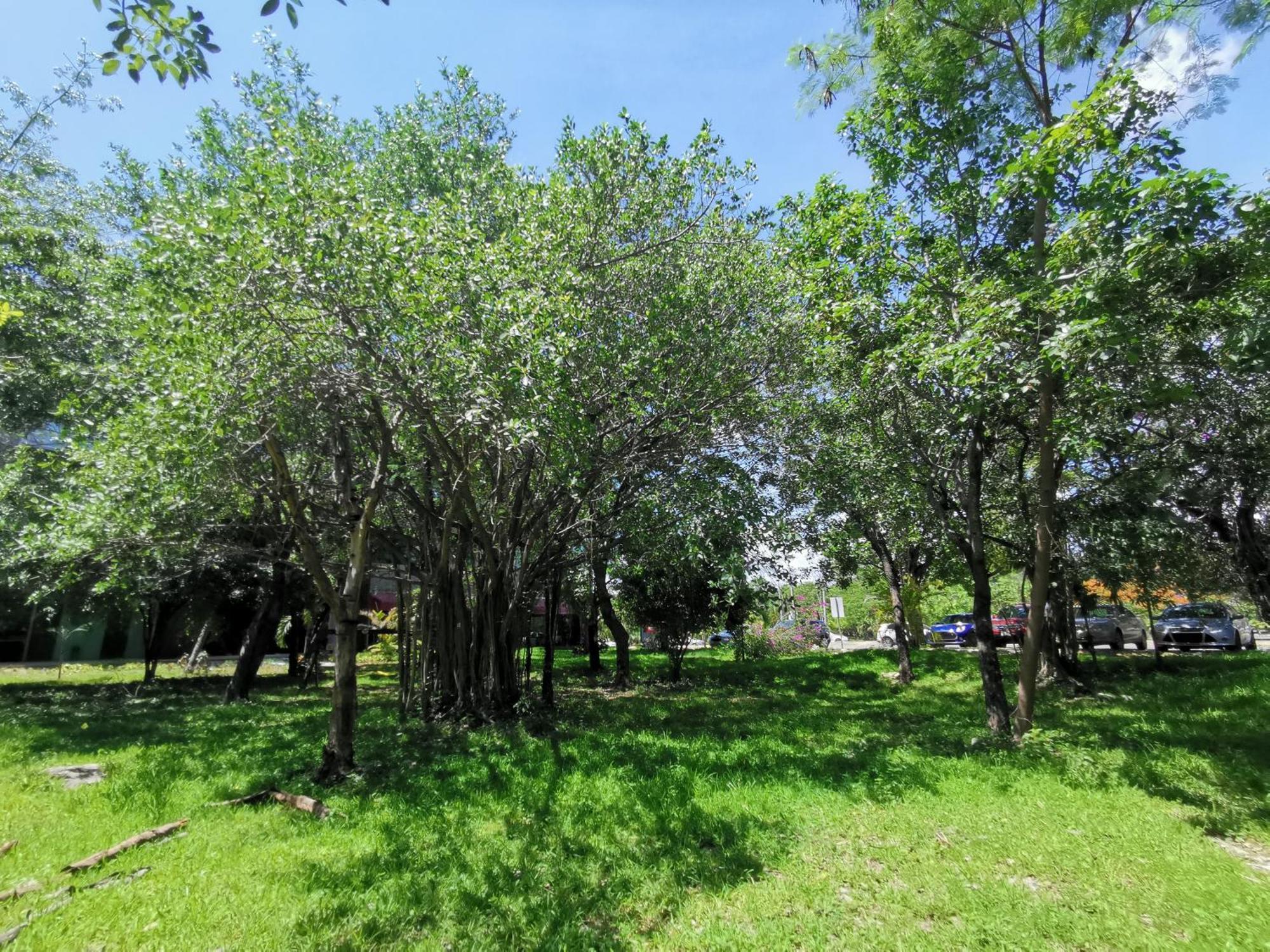 Beautiful & Cozy Near Beach Apartment Pool & Kingsize Bed Cancún Szoba fotó